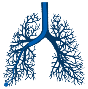 Lung Bronchoscopy